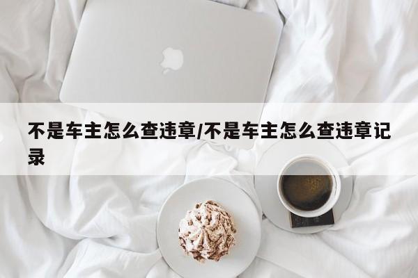 不是车主怎么查违章/不是车主怎么查违章记录
