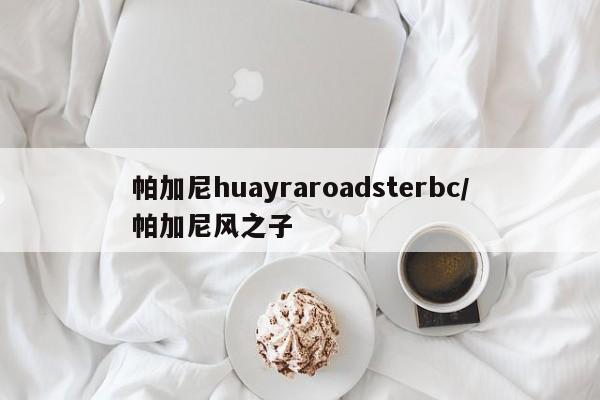 帕加尼huayraroadsterbc/帕加尼风之子