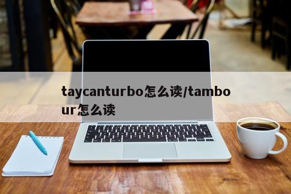 taycanturbo怎么读/tambour怎么读