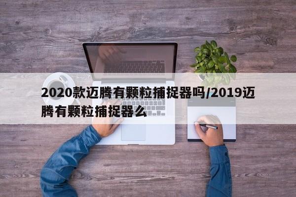 2020款迈腾有颗粒捕捉器吗/2019迈腾有颗粒捕捉器么